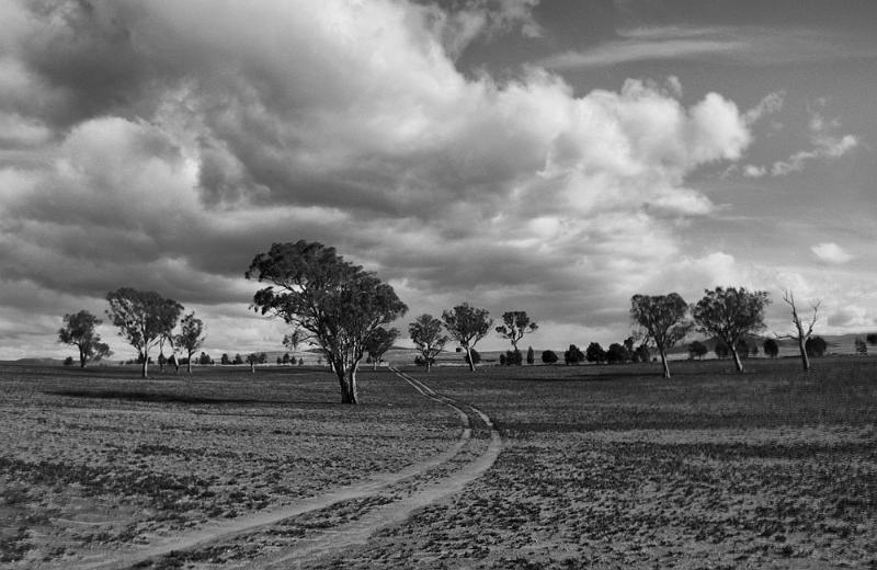 fields and sky.jpg